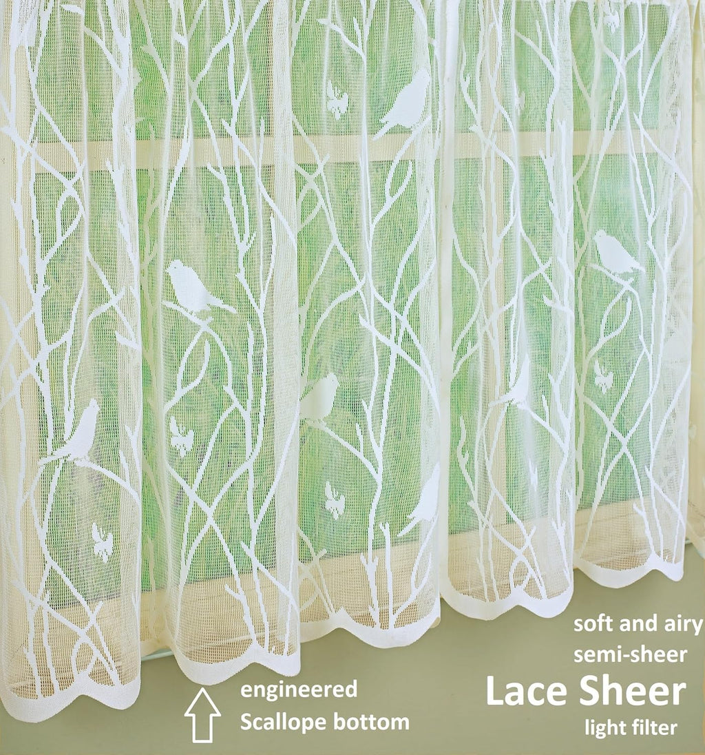 Today's Curtain, Songbird Semi-Sheer Lace Balloon Shade, Ivory, 57" W x 63" L
